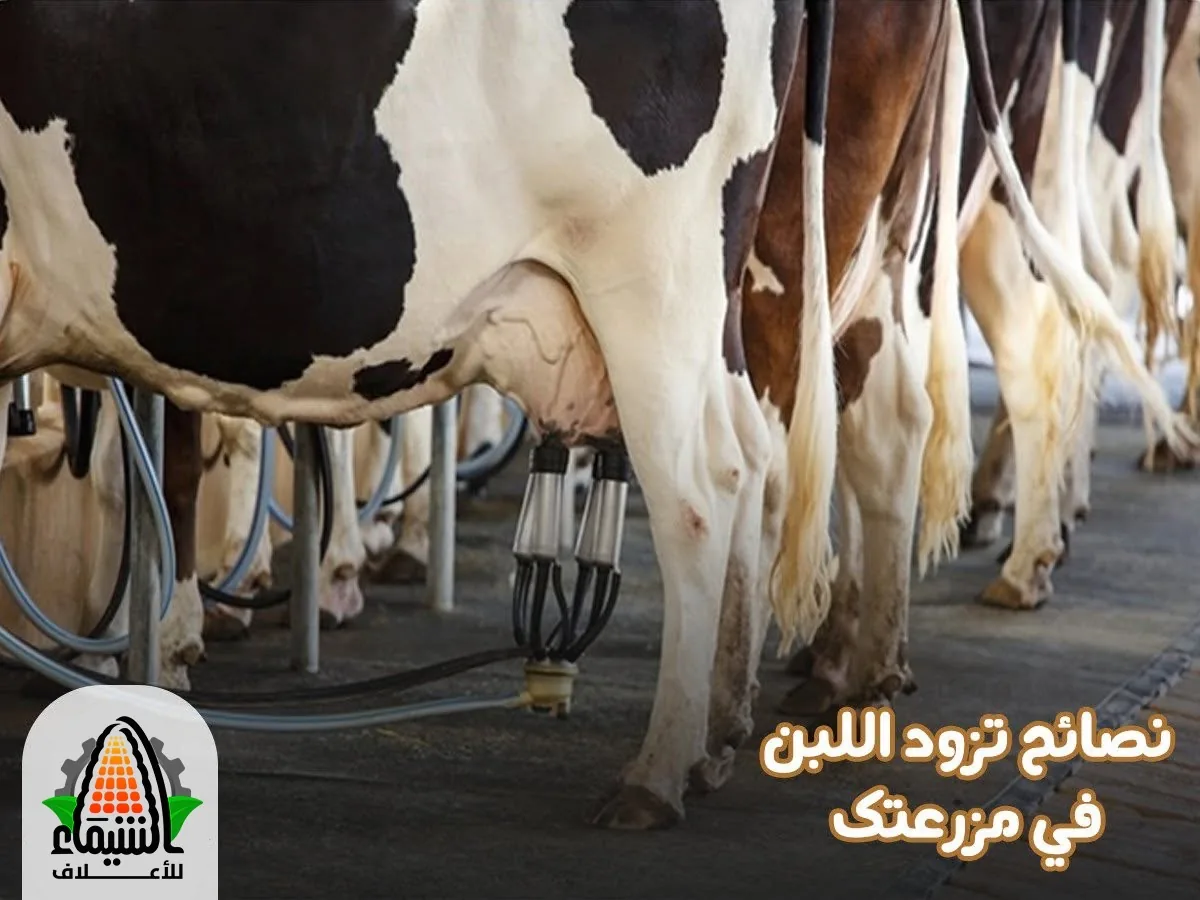 وحدة حليب حديثة