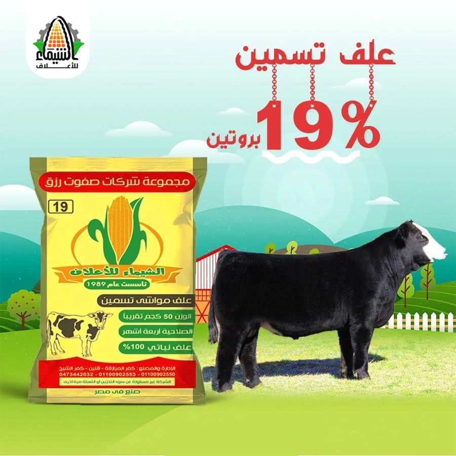 الكوكسيديا في الأبقار