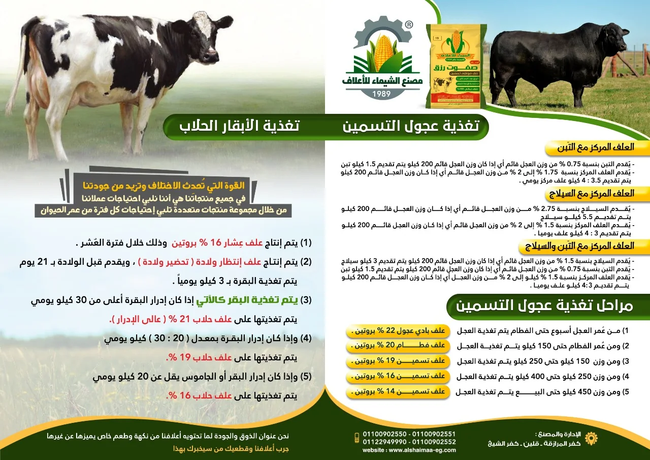 برنامج تغذية عجول التسمين والأبقار الحلّاب من مصنع الشيماء