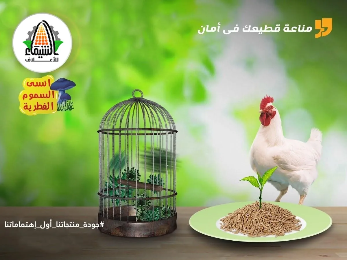 حماية القطيع من السموم الفطرية