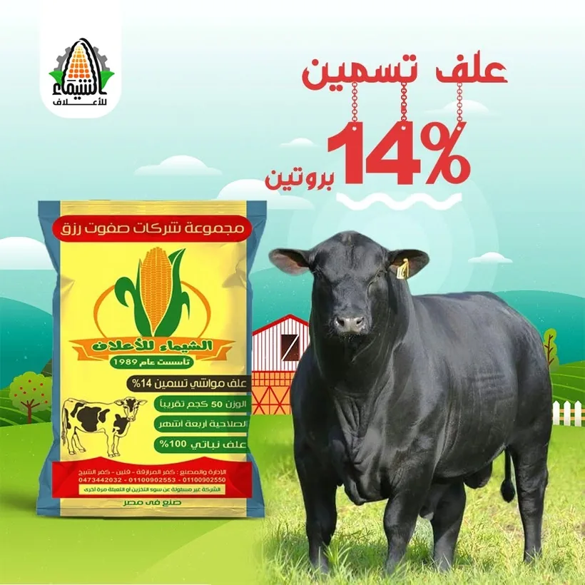 عبوة علف مواشي تسمين 14% بروتين