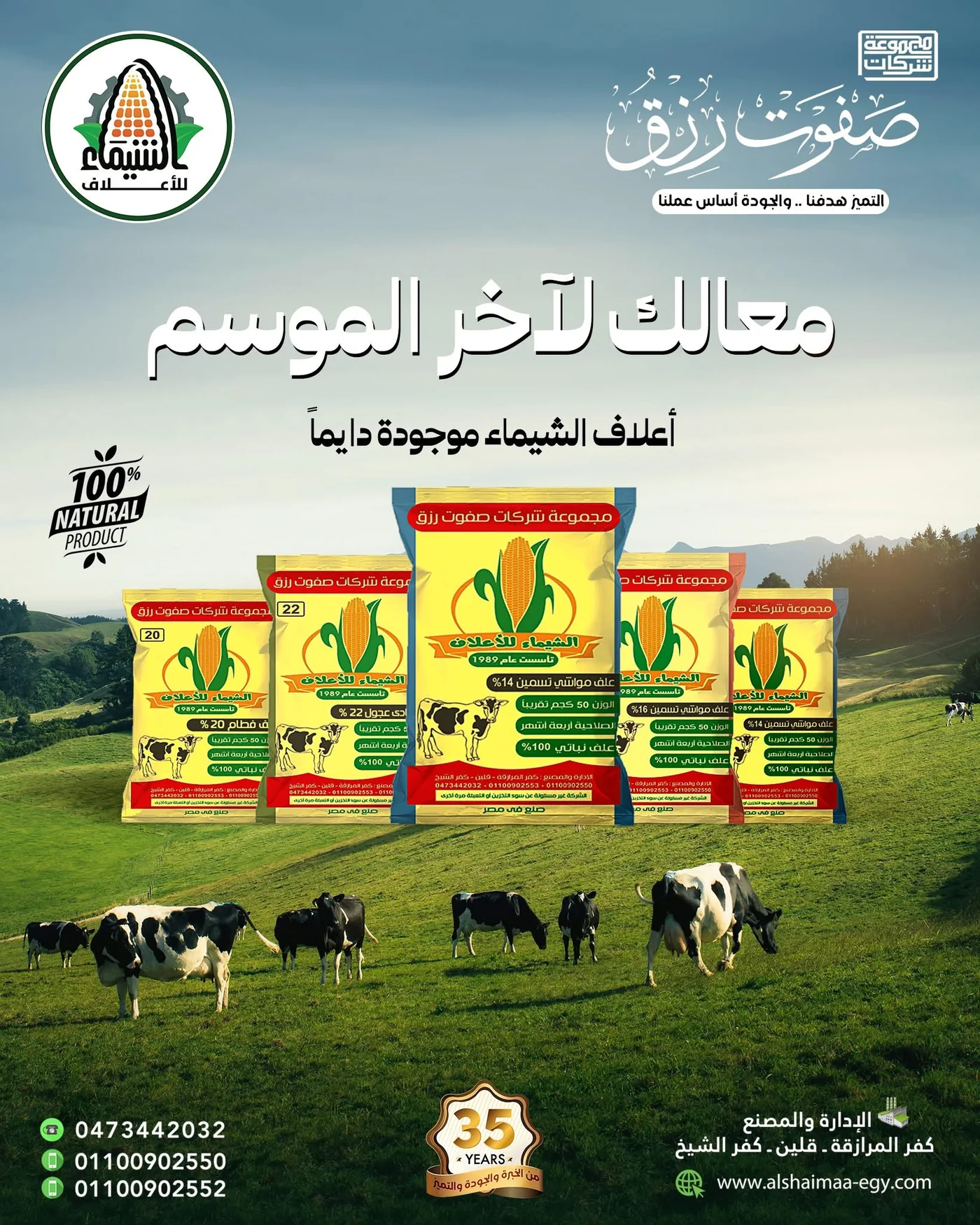 أعلاف الماشية: فطام 20% وبادي عجول 22% وتسمين 19/16/14%